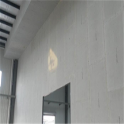 永春新型建筑材料掺多种工业废渣的ALC|ACC|FPS模块板材轻质隔墙板